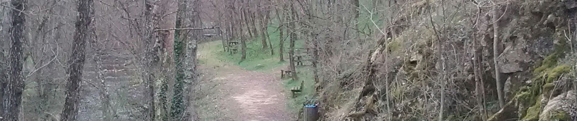 Tocht Stappen Colombier-le-Jeune - colombier le jeûne 1 - Photo