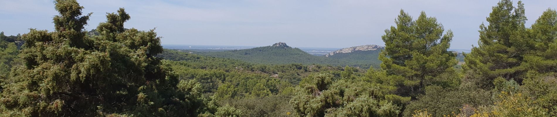 Randonnée Vélo électrique Les Baux-de-Provence - Baux Eygalières St Rémy Baux - Photo