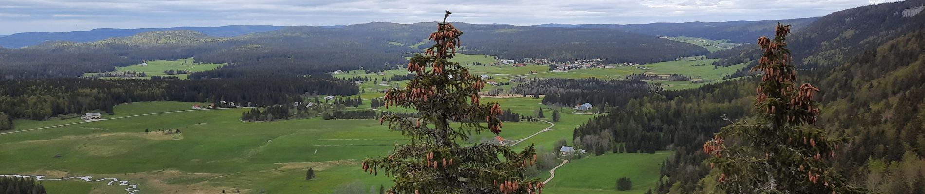 Tocht Stappen Bellefontaine - Le Risoux -  la Roche Bernard - Photo