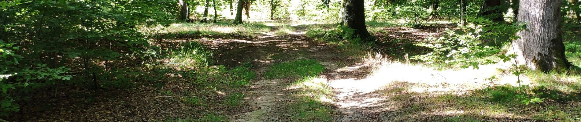 Excursión Senderismo Tintigny - Lahage 15 septembre 2018 - Photo