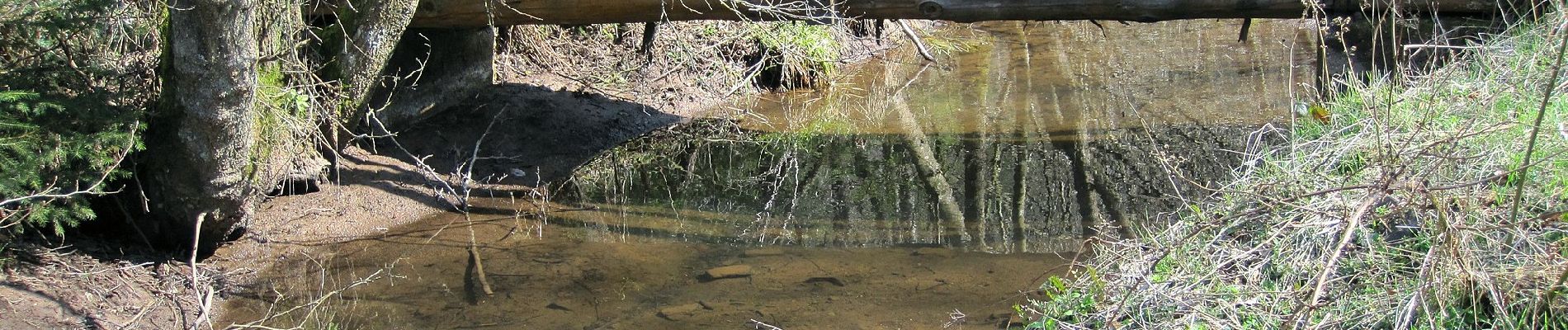 Percorso A piedi Hellenthal - Wasseramselpfad - Photo