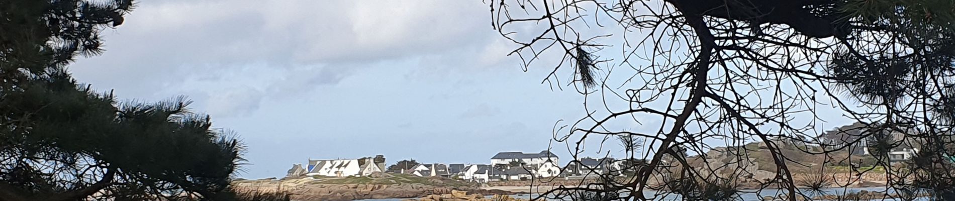 Randonnée Marche Pleumeur-Bodou - landrellec, le port - Photo