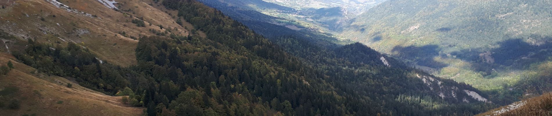 Trail Walking Gresse-en-Vercors - Pierre Blanche et Roche Rousse - Photo