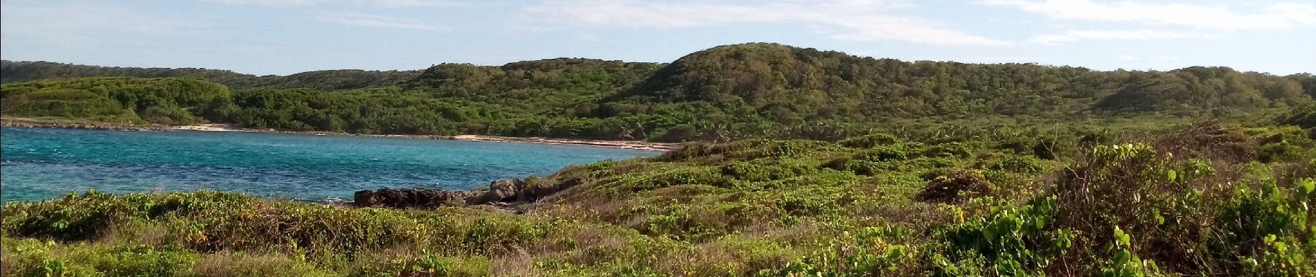 Tour Wandern Le Moule - Anse Petite Savane - Anse à l'Eau 2 - Photo