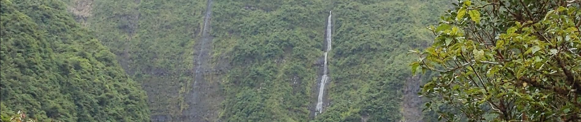 Tocht Stappen Saint-Benoît - Grand étang et cascades du bras d'Annette - Photo