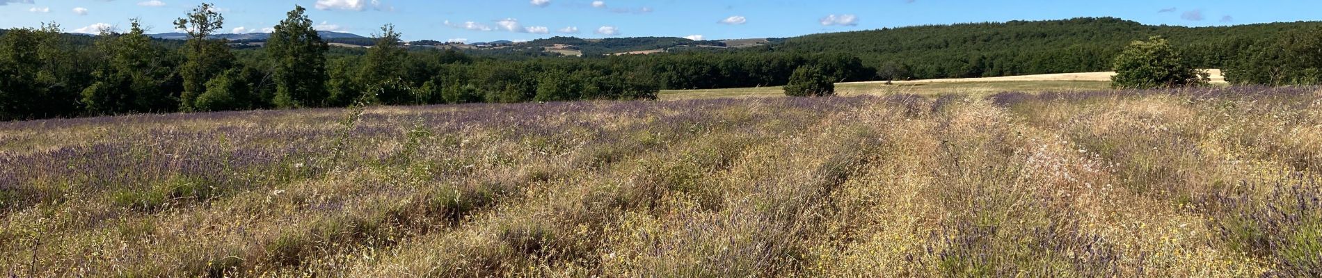 Trail Walking Redortiers - Vieux Montsalier - l’Oboeuf - Photo