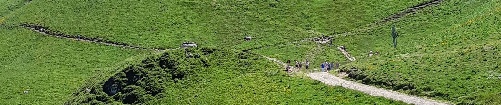 Tour Wandern Mont-Dore - Descente du Sancy depuis la gare haute du téléphérique  - Photo