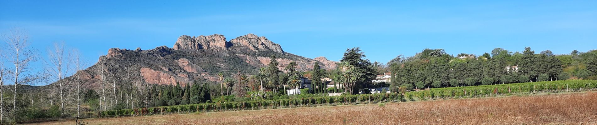 Excursión Senderismo Roquebrune-sur-Argens - Le tour du lac roco - Photo