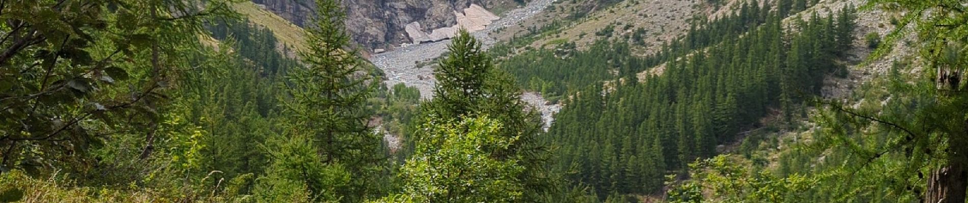 Tour Wandern Vallouise-Pelvoux - Cascade de Clapouse - Photo