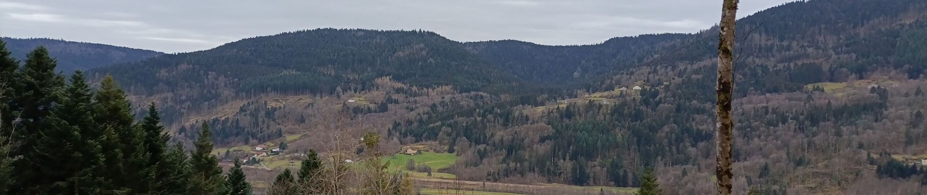 Trail Walking Saulxures-sur-Moselotte - AR Tayeux - col du chant du vent - Graviers - Photo