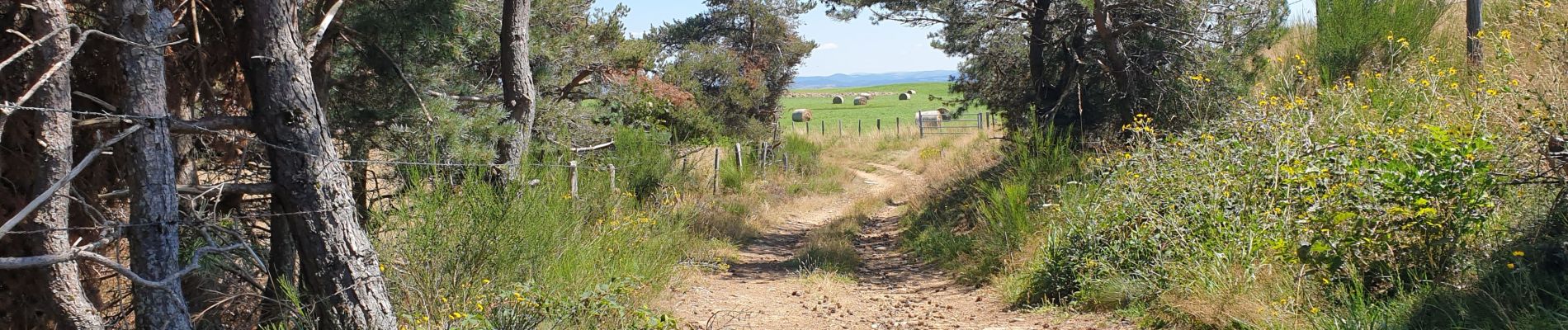 Tour Wandern Saint-Pierre-de-Nogaret - nogardel in live - Photo