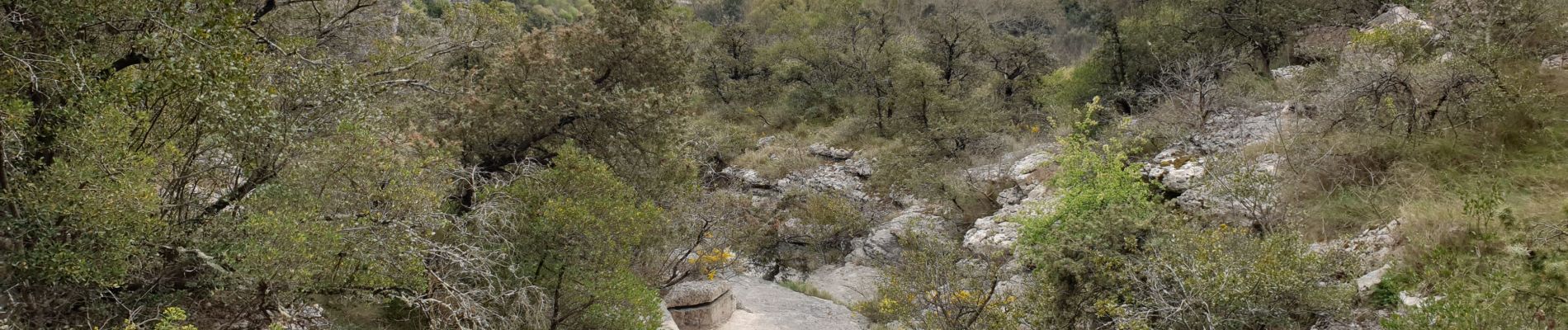 Excursión Senderismo Labeaume - Labeaume - Photo