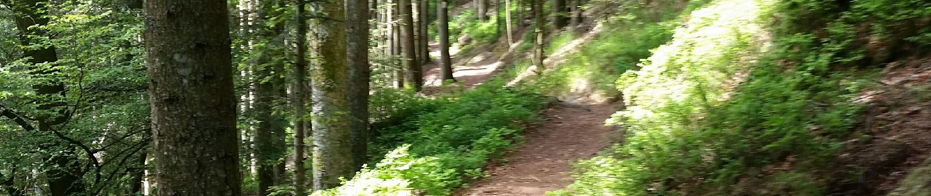 Randonnée V.T.T. Raon-l'Étape - sortie vtt du 12052018 pierre d'appel  - Photo