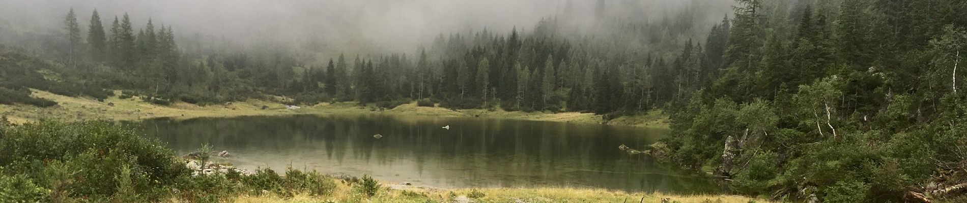 Excursión A pie Hüttschlag - Naturkundlicher Lehrweg ins Schödertal - Photo