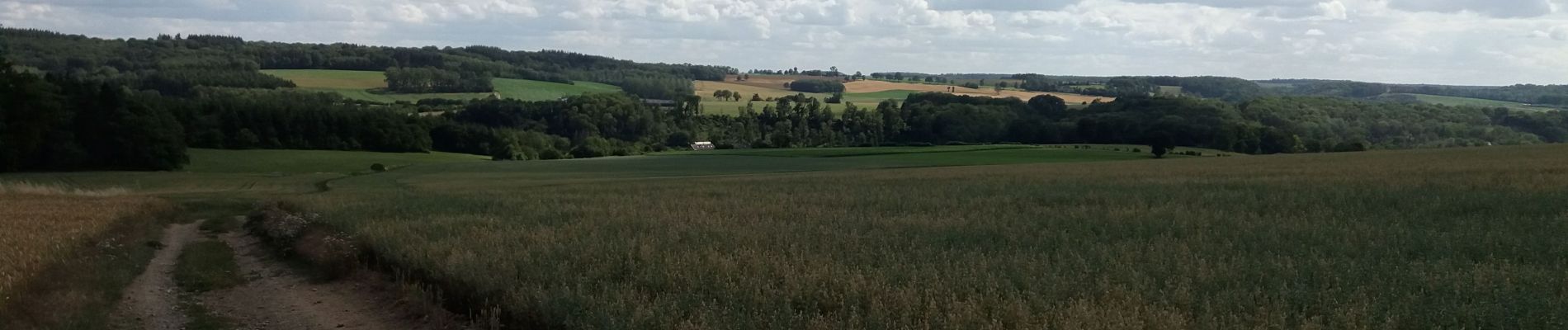 Trail Walking Anhée - Brol - Photo