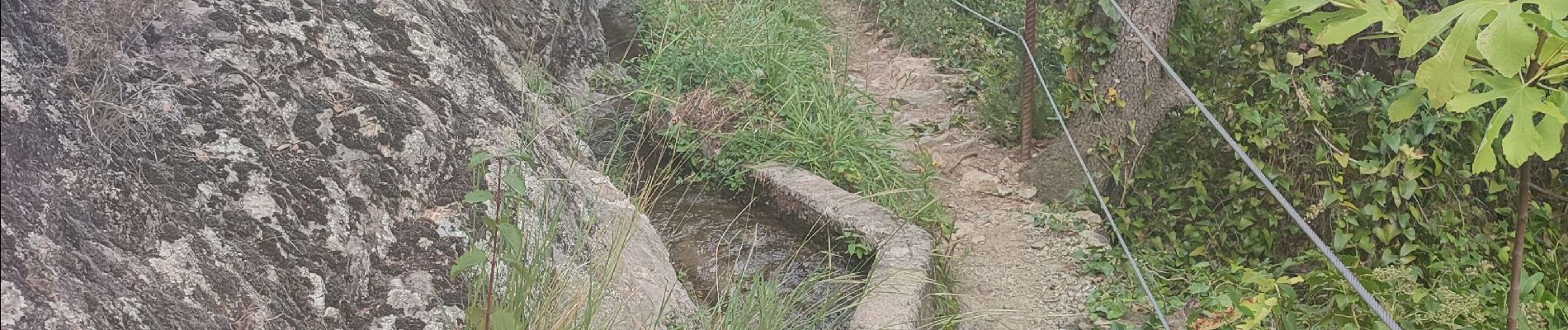 Randonnée Marche Céret - 8km balcons de Ceret - Photo