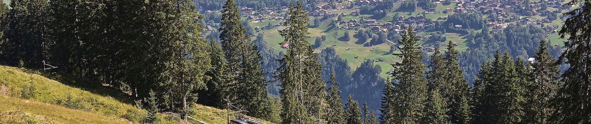 Randonnée A pied Lauterbrunnen - CH-Pletschenalp-Höhlücke - Photo