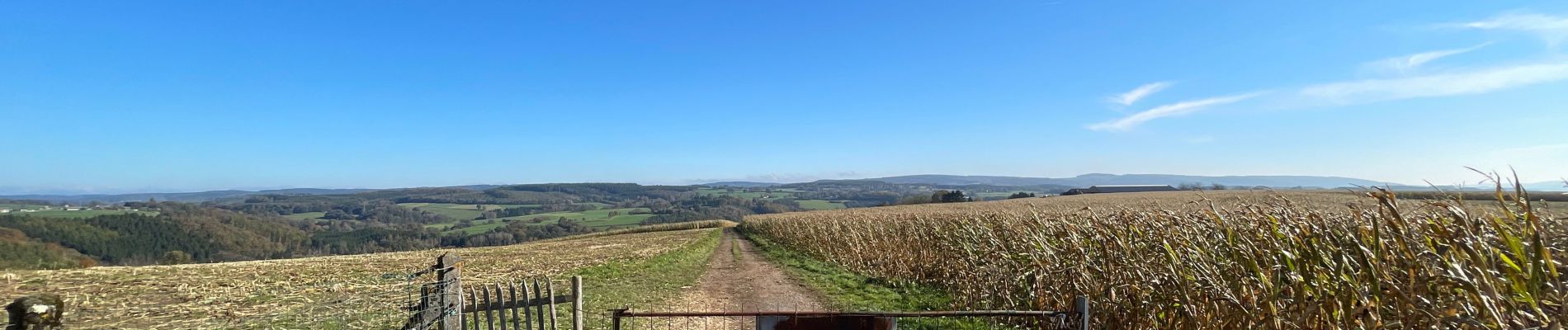 Randonnée Marche Érezée - 25 km - Photo