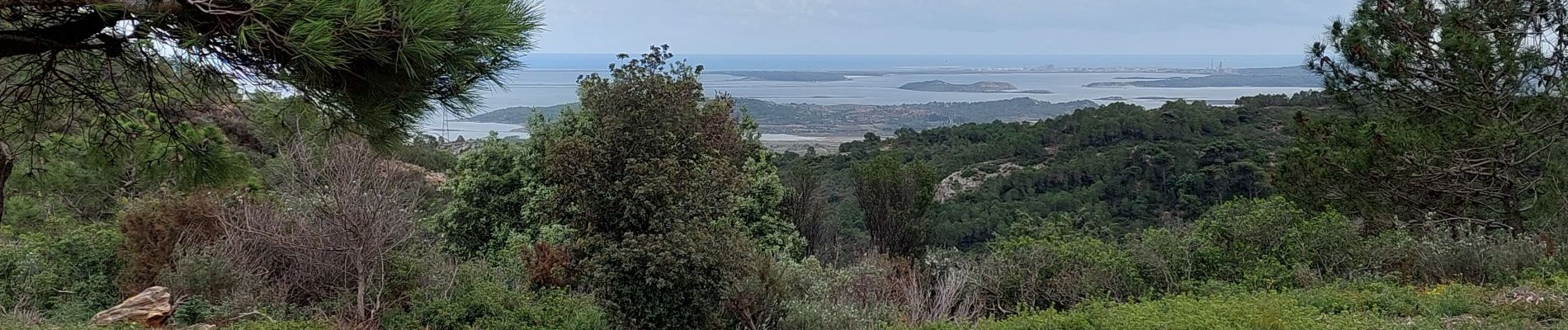 Trail Walking Narbonne - La combe d'enfer en Narbonnais  - Photo