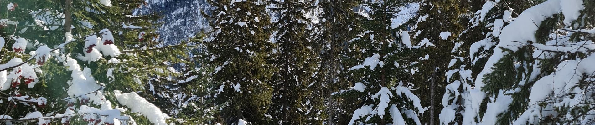 Excursión Raquetas de nieve Pralognan-la-Vanoise - Pralognan: La Corniche 8 - Photo