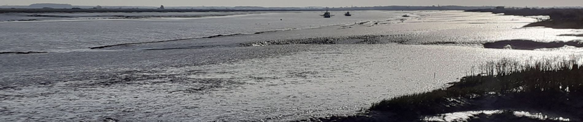 Tocht Stappen Mornac-sur-Seudre - mornac - Photo