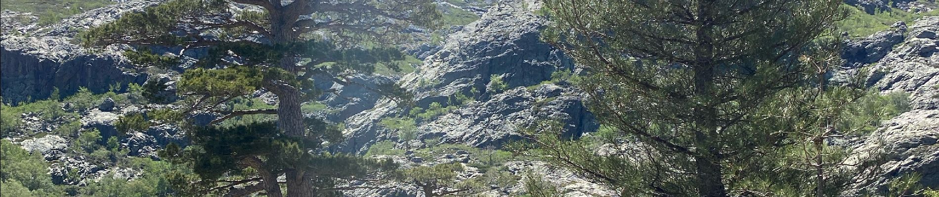 Tocht  Asco - Au pied du Monté Cinto  - Photo