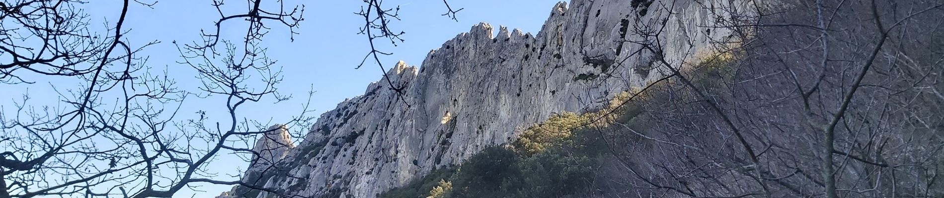 Excursión Senderismo Gigondas - Dentelles de Montmirail - Photo