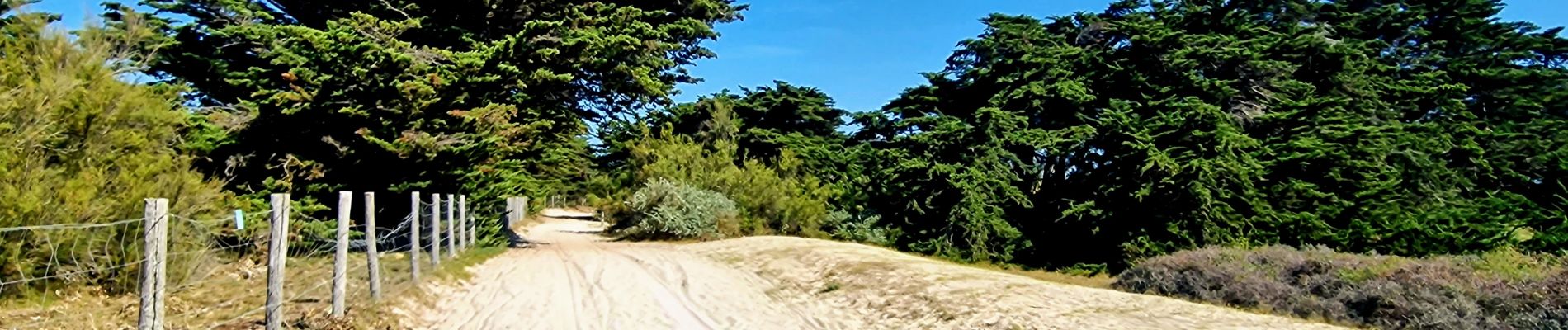 Tour Wandern Noirmoutier-en-l'Île - Jeun et rando J4 Balade à travers les marais depuis le gite - Photo