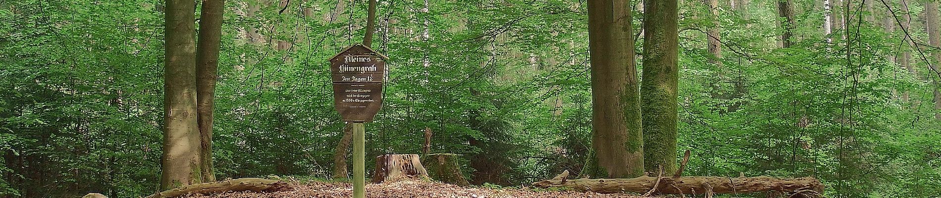 Tour Zu Fuß Buchholz in der Nordheide - Buchholzer Rundwanderweg 3 - Photo