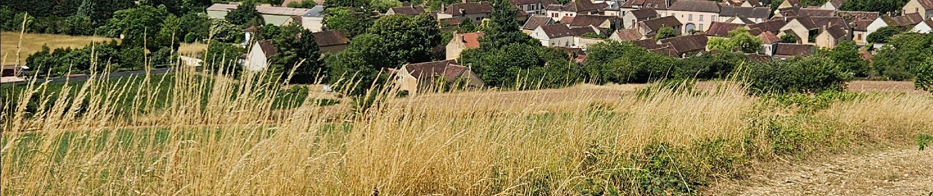 Trail Walking Les Bordes - les bordes - Photo