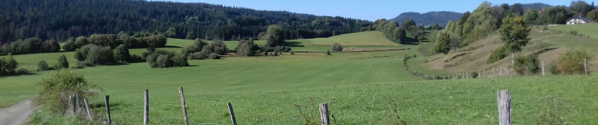 Tour Wandern Remoray-Boujeons - Remoray-Boujeons - Le Belvédère des deux Lacs - Photo