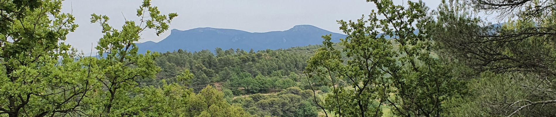 Excursión Senderismo Peynier - les vallats du Verdalaï et de Tourenne - Photo