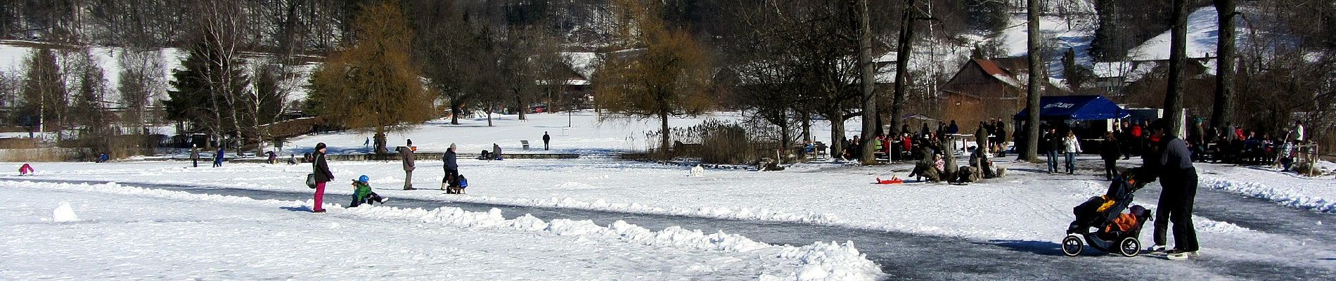 Excursión A pie Hausen am Albis - Türlerseerundweg - Photo