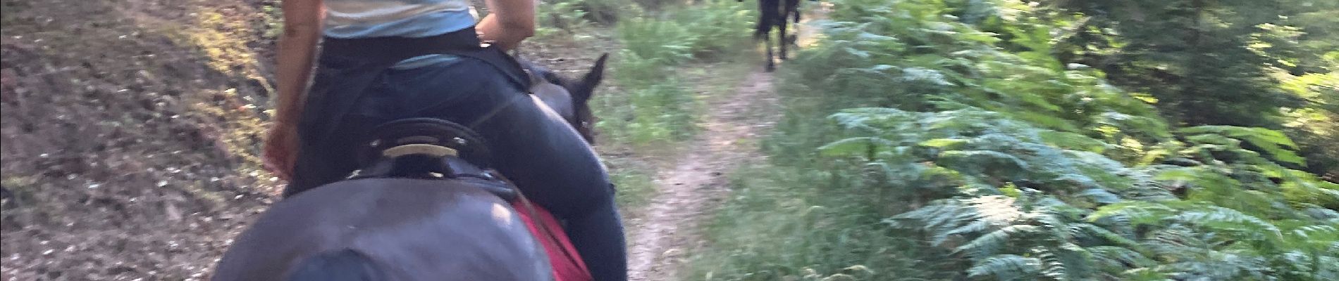 Tour Reiten Sankt Quirin - A la fraîche  - Photo