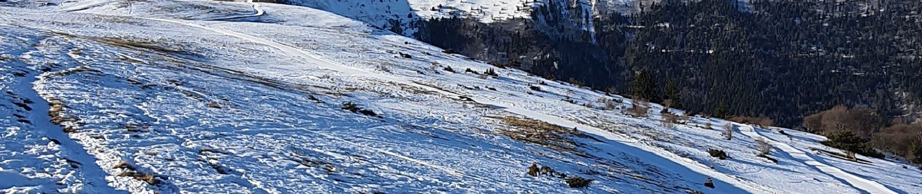 Tour Schneeschuhwandern La Motte-d'Aveillans - Col du Sénépy - Photo