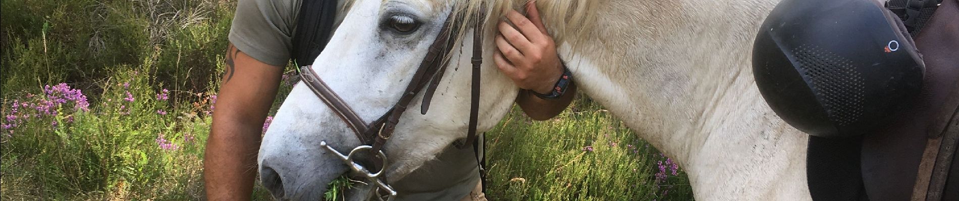 Tour Reiten Goualade - Goualade  - Photo