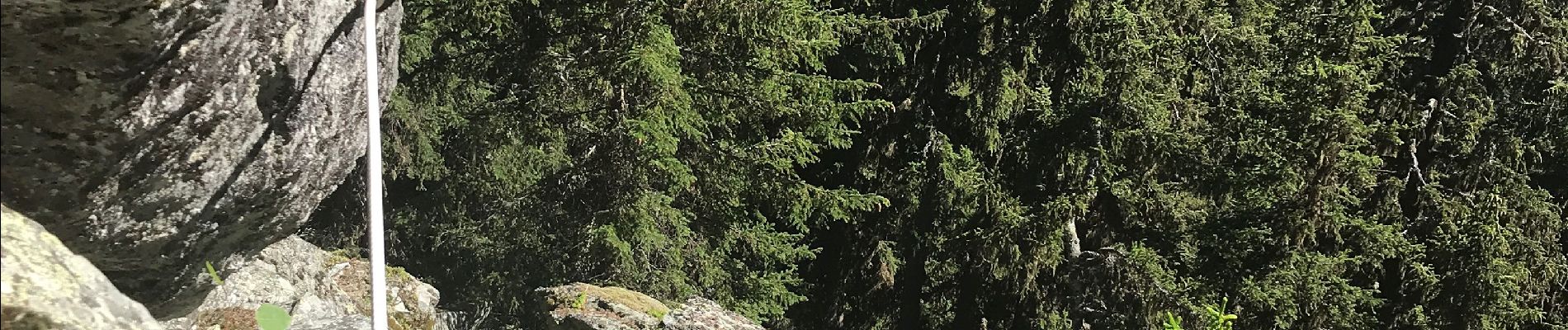 Randonnée Marche Tignes - Nazonde par la forêt  - Photo