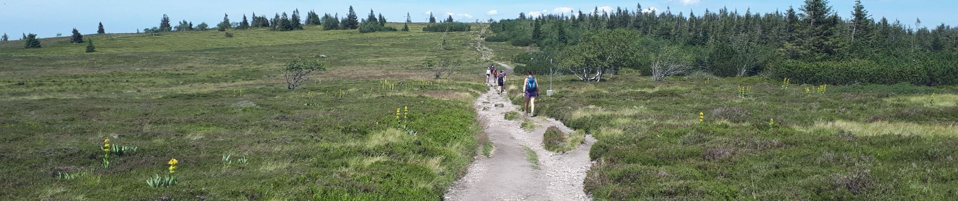 Randonnée Marche Orbey - Tour des 3 Lacs : Lacs Blanc, Noir et des Truites  - Photo