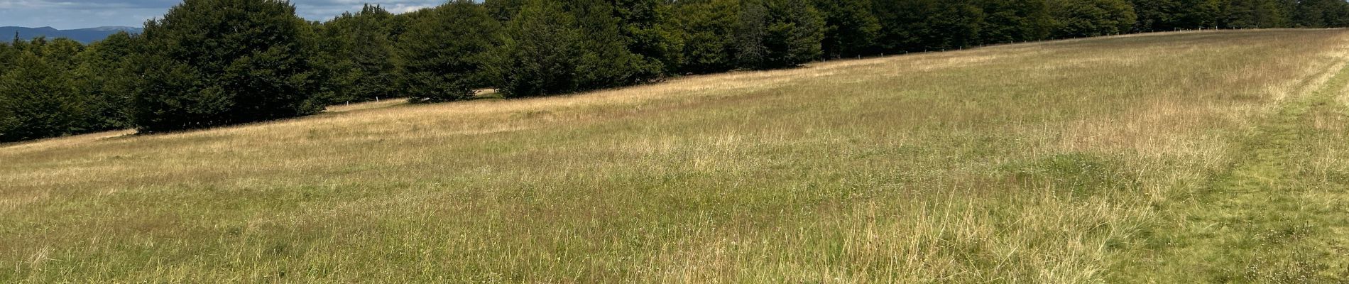 POI Metzeral - Coin tranquille pour lecture - Photo