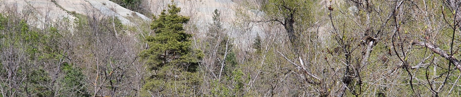 Excursión Senderismo Rosières - Ravin de Corboeuf et la galoche - Photo