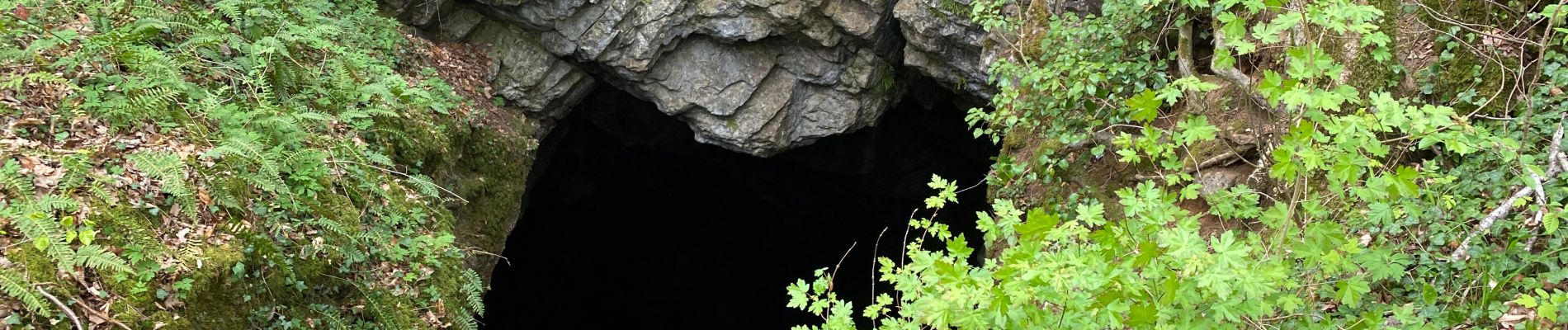 Point d'intérêt Marche-en-Famenne - Gouffre Trotti des fosses - Photo