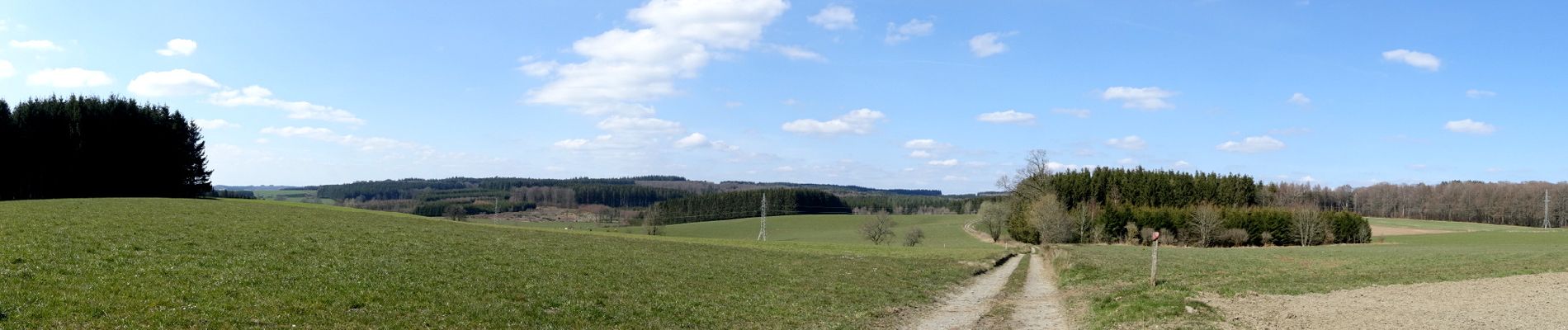 Randonnée Marche Neufchâteau - Massul - Bois Molinfaing - Photo