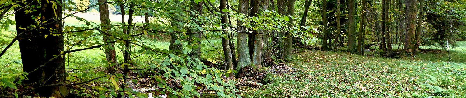 Randonnée A pied Cikháj - bývalá Naučná stezka Tisůvka - Žákova hora - Photo