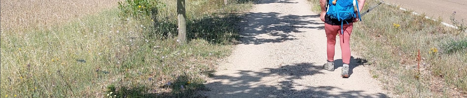 Tocht Stappen Bercianos del Real Camino - 2023 18 mansilla - Photo