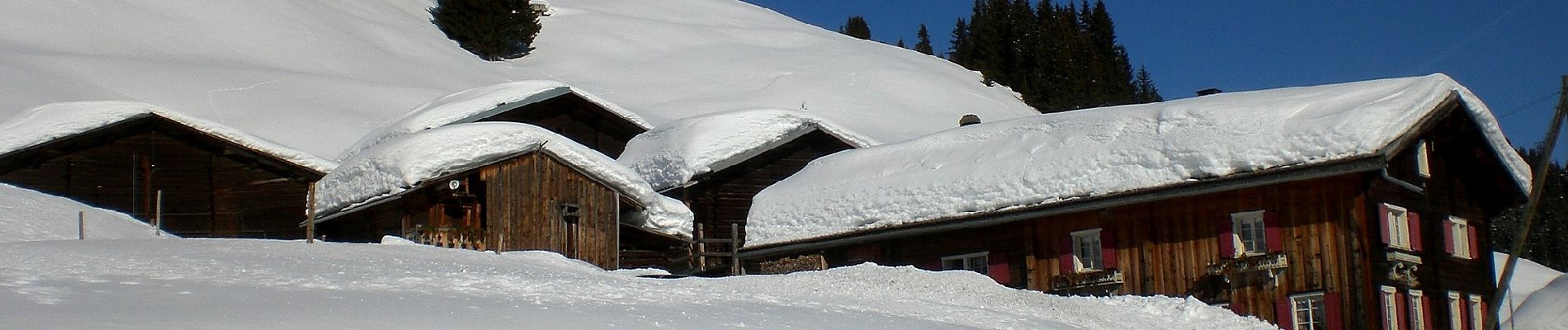 Tour Zu Fuß Safiental - Safien Talkirch-Camanaboda - Photo