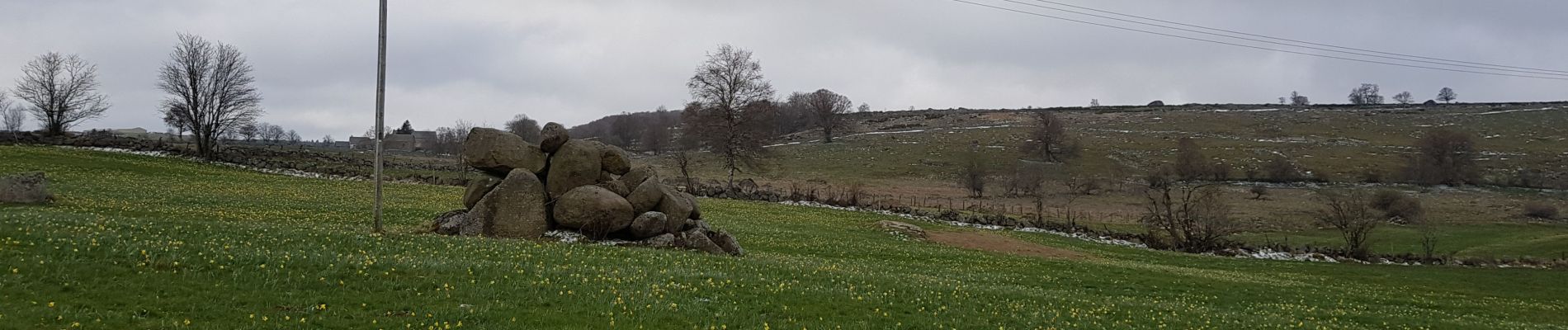 Trail Walking Prinsuéjols-Malbouzon - prinsueljols-aubrac etape st Jacques  - Photo