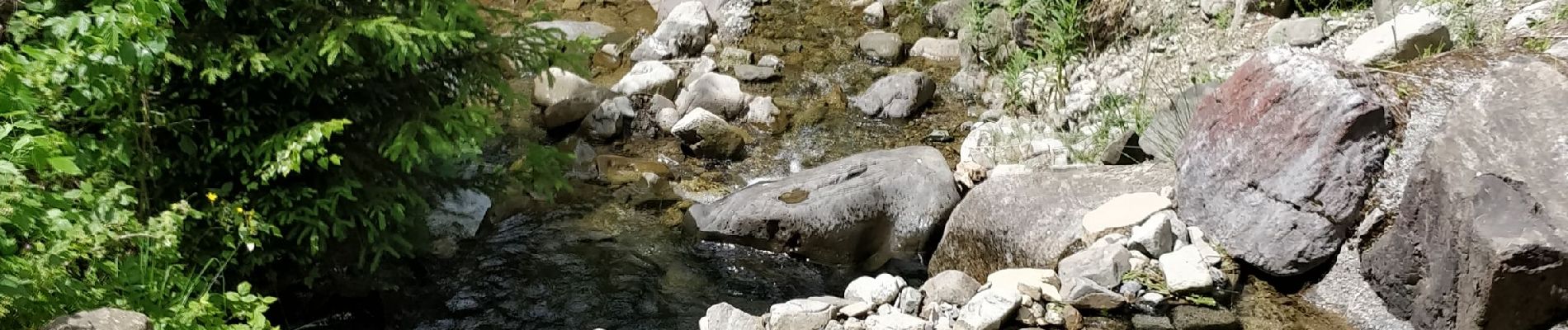 Randonnée Marche Arâches-la-Frasse - Les Carroz tête des Saix boucle - Photo