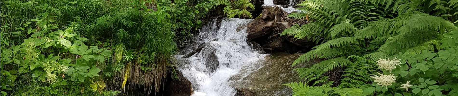 Trail Walking Sainte-Foy-Tarentaise - Le Planay dessous depuis la Bataillette  - Photo