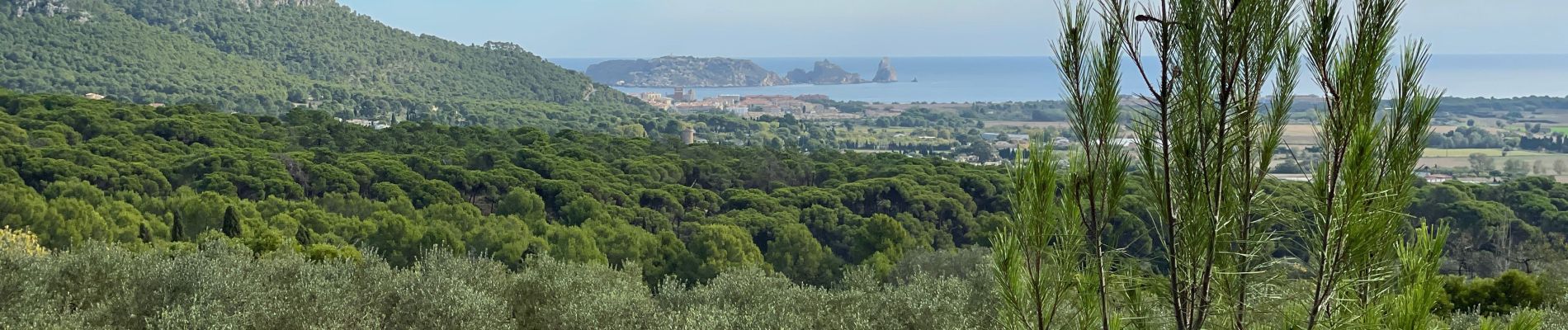 Tour Wandern Torroella de Montgrí - Montgris : Ermitage  - Photo