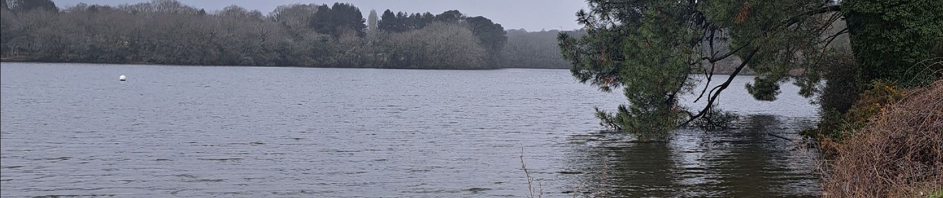 Tour Wandern Lorient - grand lac du ter - Photo